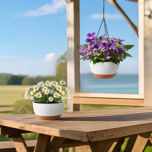 Hanging Planters 10 Inch Self-Watering Flower Pot 2 Pack Indoor & Outdoor